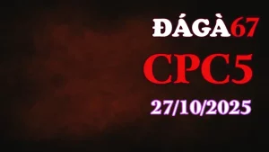 Clip gà chọi trực tiếp C5 full HD ngày 27/10/2025