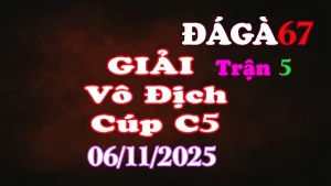 Đá Gà Giải C5: A.Cọp CPC (1đ) vs A.CF789 A (0đ)