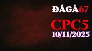 Phát lại clip đá gà trực tiếp Thomo CPC5 hôm nay 10/11/2025