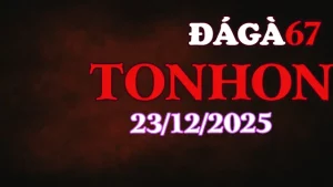 Xem Lại Video Đá Gà Tonhon 23122025