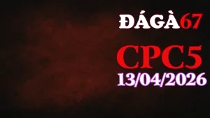 Xem full clip đá gà trực tiếp CPC5 hôm nay 13042026