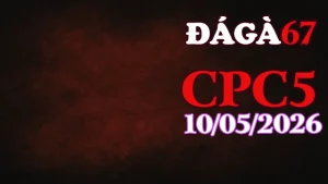 Video trực tiếp đá gà CPC5 hôm nay 10052026
