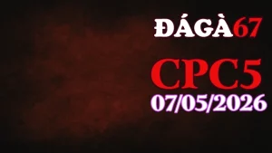 Video trực tiếp đá gà thomo CPC5 ngày 07052026
