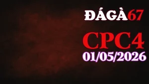 Xem Full Video Đá Gà Thomo CPC4 Ngày 01052026